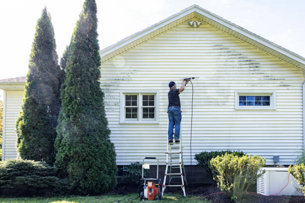 Best Building Exterior Washing  in Jensen Beach, FL